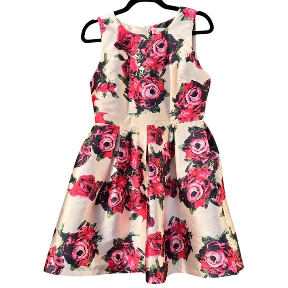 L'ATISTE by AMY Floral Print Fit and Flare Party Dress Red Black Roses M